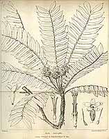  no thumbnail available