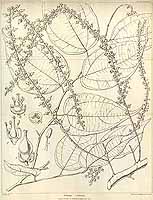  no thumbnail available