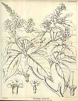  no thumbnail available