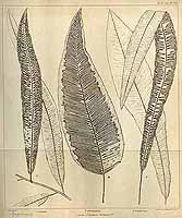  no thumbnail available