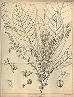  no thumbnail available