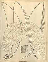  no thumbnail available