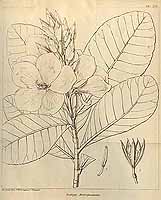  no thumbnail available