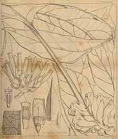  no thumbnail available