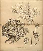  no thumbnail available