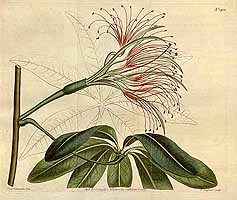  no thumbnail available