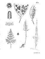  no thumbnail available