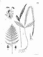  no thumbnail available