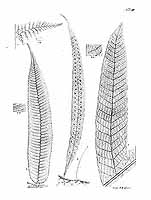  no thumbnail available