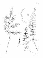  no thumbnail available