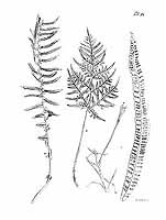  no thumbnail available