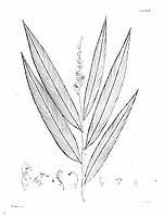  no thumbnail available