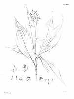  no thumbnail available