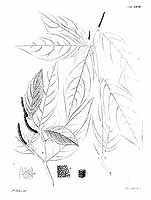  no thumbnail available