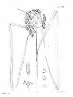  no thumbnail available