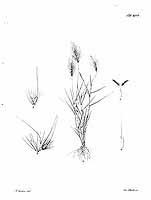  no thumbnail available