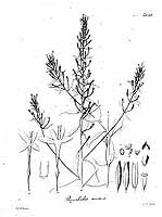  no thumbnail available