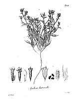  no thumbnail available