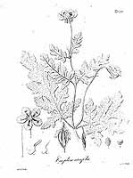  no thumbnail available