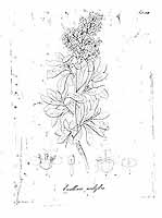  no thumbnail available