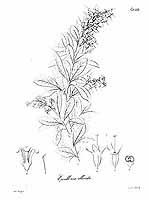  no thumbnail available