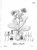  no thumbnail available