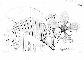  no thumbnail available