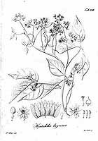  no thumbnail available