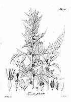  no thumbnail available