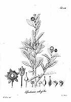  no thumbnail available