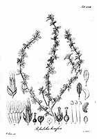  no thumbnail available