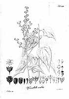  no thumbnail available