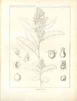  no thumbnail available