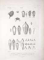  no thumbnail available