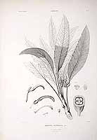  no thumbnail available