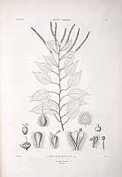  no thumbnail available