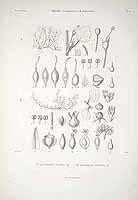  no thumbnail available