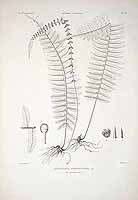  no thumbnail available