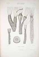  no thumbnail available