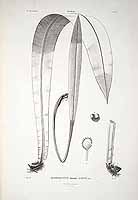  no thumbnail available