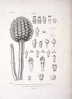  no thumbnail available