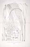  no thumbnail available