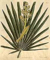  no thumbnail available