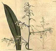  no thumbnail available