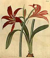  no thumbnail available