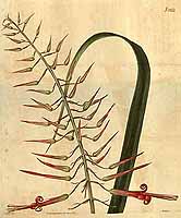  no thumbnail available