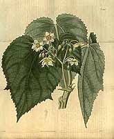  no thumbnail available