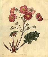  no thumbnail available