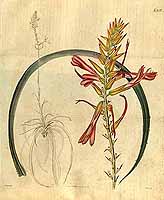  no thumbnail available