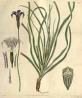  no thumbnail available